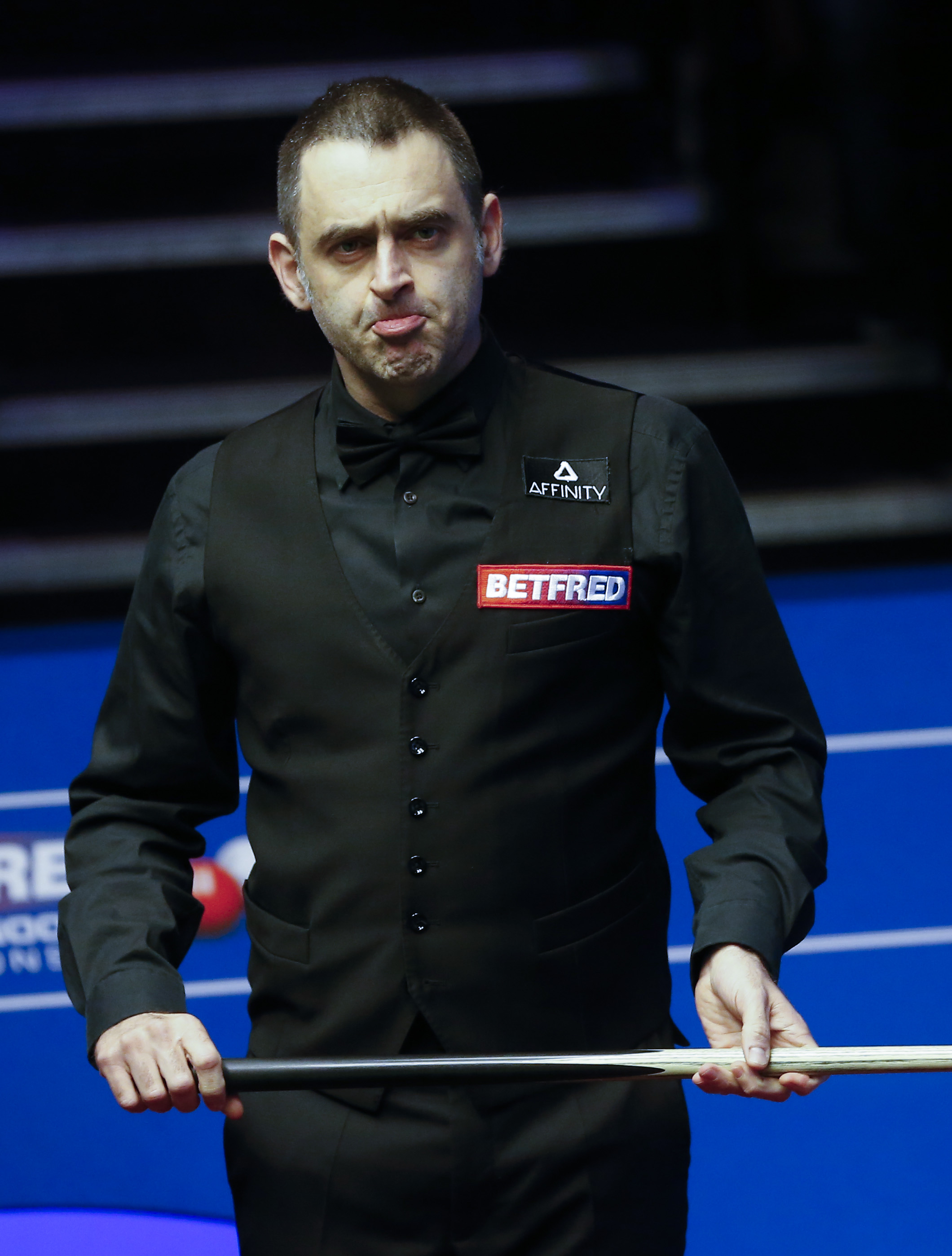 灰熊在内线 灰熊在内线